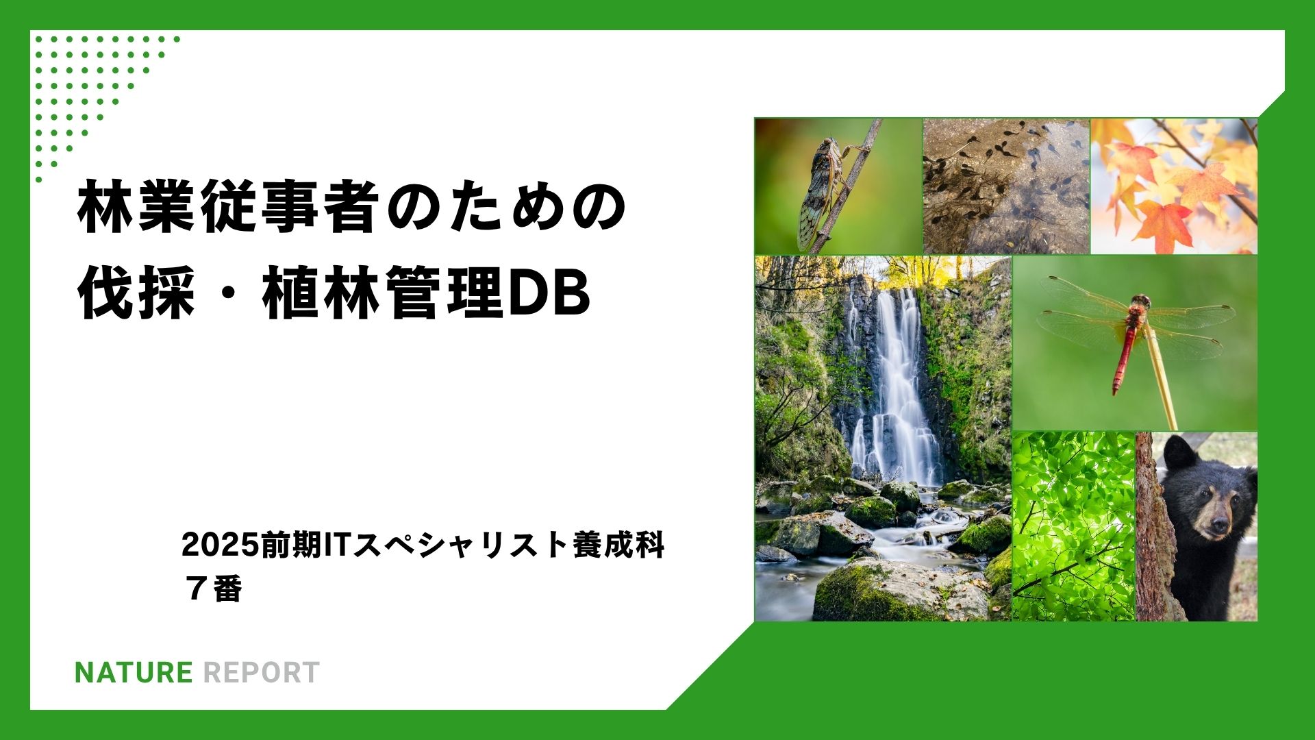 林業従事者のための植林管理DB